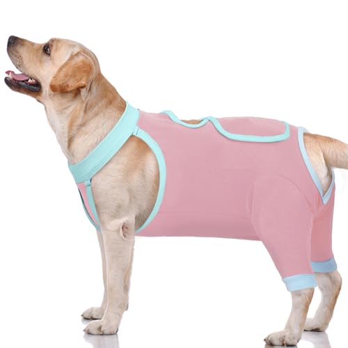 IDOMIK Hunde-Genesungsmanschette für Hinterbeine, Hunde-Genesungsanzug für weibliche Kastanien, Hundebeinmanschette gegen Lecken der Hinterbeine, lange Ärmel, Wundschutz, Einteiler für Hunde IDOMIK Hunde-Genesungsmanschette für Hinterbeine, Hunde-Genesungsanzug für weibliche Kastanien, Hundebeinmanschette gegen Lecken der Hinterbeine, lange Ärmel, Wundschutz, Einteiler für Hunde von IDOMIK