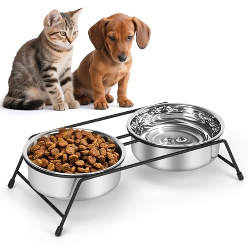 IEBIYO Erhöhte Katzennäpfe für Katzen, 2 Edelstahl-Futterspender für Katzen, Welpen, Kaninchen (Silber) von IEBIYO