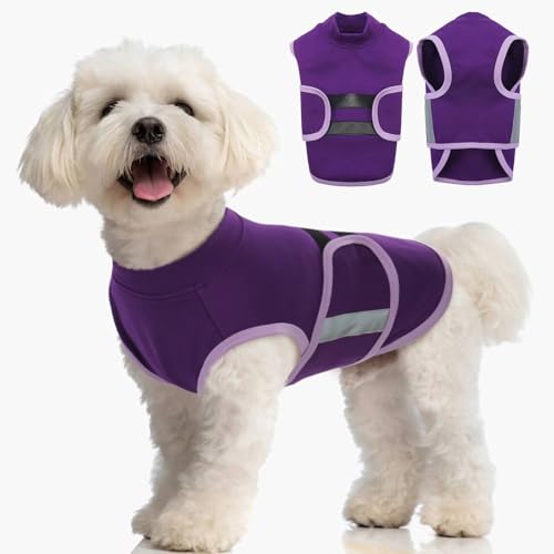 IECOii Beruhigendes Hunde-Shirt, bequemer Hunde-Angstlinderungsmantel für Gewitter, Reisen, Feuerwerk am 4. Juli, Tierarztbesuche, Trennungsangstlinderung für Hunde, hautfreundliche IECOii Beruhigendes Hunde-Shirt, bequemer Hunde-Angstlinderungsmantel für Gewitter, Reisen, Feuerwerk am 4. Juli, Tierarztbesuche, Trennungsangstlinderung für Hunde, hautfreundliche von IECOii