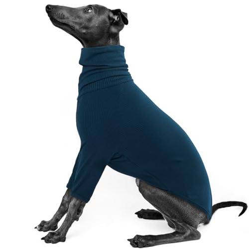 IECOii Windhundpullover,gemütlicher Overall für italienische Windhunde,Whippet-Pullover-Schlafanzug für Hunde,Rollkragen-Einteiler für Whippets,Windhund-T-Shirts mit Ärmeln,Blau,XS IECOii Windhundpullover,gemütlicher Overall für italienische Windhunde,Whippet-Pullover-Schlafanzug für Hunde,Rollkragen-Einteiler für Whippets,Windhund-T-Shirts mit Ärmeln,Blau,XS von IECOii