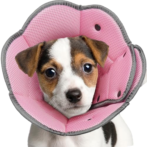 IECOii Halskrause für Hund,Leckschutz Halskrause für Kleine Hunde,Halskrause Katze,Weiche Kegel FüR Hunde Nach Der Operation Zu Stoppen Lecken,AnpassungsfäHig Hund Kegel für Chihuahua,Rosa-S IECOii Halskrause für Hund,Leckschutz Halskrause für Kleine Hunde,Halskrause Katze,Weiche Kegel FüR Hunde Nach Der Operation Zu Stoppen Lecken,AnpassungsfäHig Hund Kegel für Chihuahua,Rosa-S von IECOii