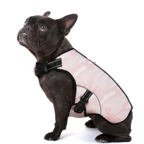 IECOii Hund Kühlweste für große Hunde, Hund Sommer Kühlweste Geschirr für heißes Wetter,Verdampfende Kühljacken für Hunde mit atmungsaktivem Mesh,Große HundKühlshirt Haustier Kühlelemente (Rosa, L) IECOii Hund Kühlweste für große Hunde, Hund Sommer Kühlweste Geschirr für heißes Wetter,Verdampfende Kühljacken für Hunde mit atmungsaktivem Mesh,Große HundKühlshirt Haustier Kühlelemente (Rosa, L) von IECOii