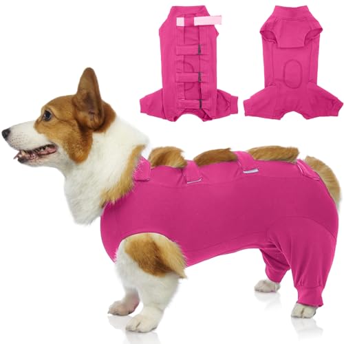 IECOii Wundschutzanzug für Hunde Nach Op - Hundebody Kastration Einstellbar Recovery Suit für Kleine Hunde, Bauchwunden und Hinterbeine Leckschutz, Small-Rosered von IECOii