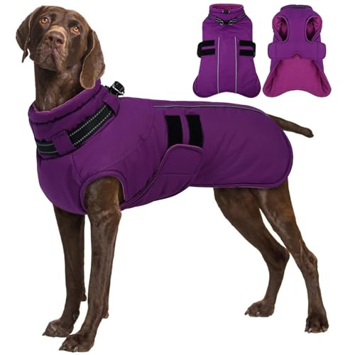 IECOii Hundemantel, Overall mit Reißverschluss, verstellbar, Winddicht Wintermantel, kuschelig, Polarfleece, Hundemantel, IECOii Hundemantel, Overall mit Reißverschluss, verstellbar, Winddicht Wintermantel, kuschelig, Polarfleece, Hundemantel, von IECOii