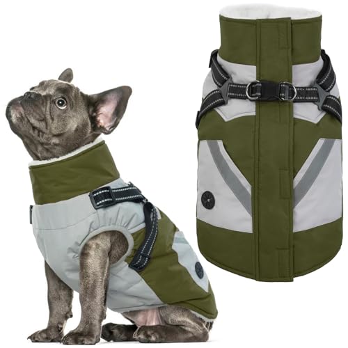 IECOii Hundemantel mit integriertem Geschirr, Grün, Größe L, wasserdichter Wintermantel, Fleece-gefütterte Schneejacke für Hunde von IECOii