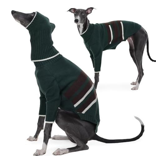 IECOii Hundepullover MittelgroßE Hunde von IECOii