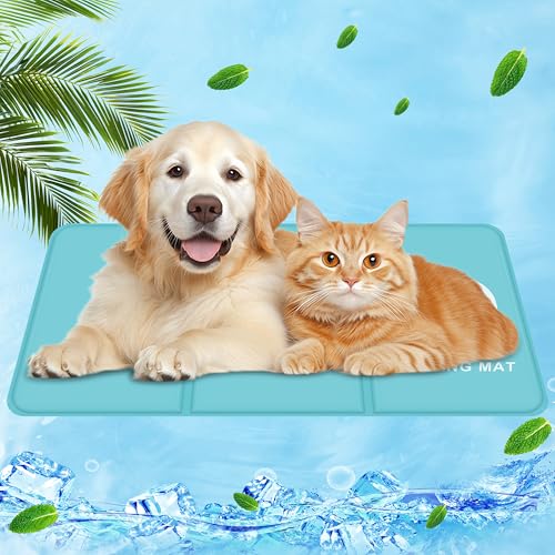 IEEILULU Kühlmatte für Hunde, Kühldecke Hund, Kühlende Hundematte mit Ungiftiges Gel, Kühlmatten Haustiere, Kühlpads Gel, Kühldecke Sommer für Zuhause, Weggehen oder im Auto (M, 50 x 90cm) von IEEILULU
