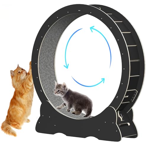Katzenlaufrad, Laufrad für Katzen, 100cm Innendurchmesser Laufrad Katze, Super Leises Haustier Katze Laufrad Spielzeug, Holzlaufrad Laufrad Wheel Innen für Kleines Mittel Großes Katze (Schwarz, XL) Katzenlaufrad, Laufrad für Katzen, 100cm Innendurchmesser Laufrad Katze, Super Leises Haustier Katze Laufrad Spielzeug, Holzlaufrad Laufrad Wheel Innen für Kleines Mittel Großes Katze (Schwarz, XL) von IGTOPS