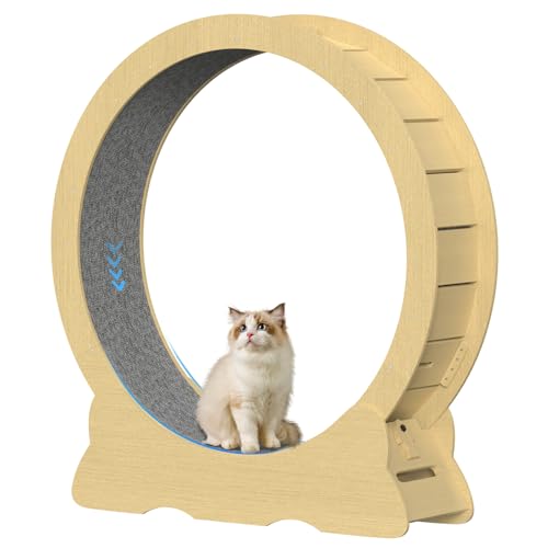 Katzenlaufrad, Laufrad für Katzen, 120cm Innendurchmesser Laufrad Katze, Super Leises Haustier Katze Laufrad Spielzeug, Holzlaufrad Laufrad Wheel Innen für Kleines Mittel Großes Katze (Holzfarbe, XXL) Katzenlaufrad, Laufrad für Katzen, 120cm Innendurchmesser Laufrad Katze, Super Leises Haustier Katze Laufrad Spielzeug, Holzlaufrad Laufrad Wheel Innen für Kleines Mittel Großes Katze (Holzfarbe, XXL) von IGTOPS