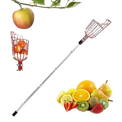 Obstpflücker, Teleskopische Obstpflückstange, Mehrzweckpflücker aus rostfreiem Stahl, lange Obstpflückstange für Obstgärten, Apfelpflücker,Kirschenpflücker mit Baumwollbeutel (Kunststoff, 1.6m) von IGTOPS