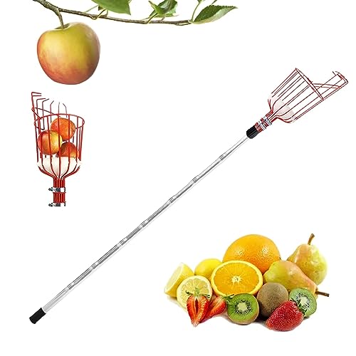 Obstpflücker, Teleskopische Obstpflückstange, Mehrzweckpflücker aus rostfreiem Stahl, lange Obstpflückstange für Obstgärten, Apfelpflücker,Kirschenpflücker mit Baumwollbeutel (Kunststoff, 2.8m) von IGTOPS