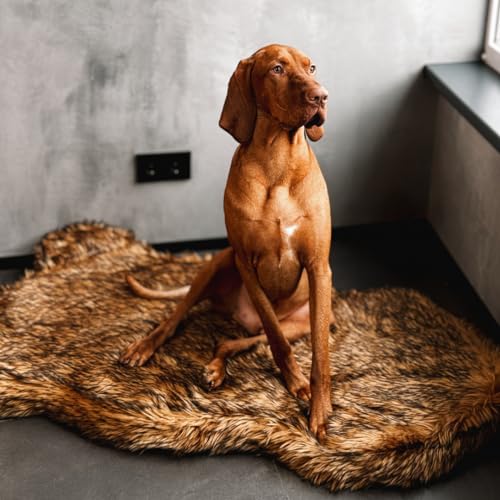 IHAPPYDOG Luxuriöses orthopädisches Hundebett aus Kunstfell, Memory Foam Hundebett für kleine, mittlere, große und XL Haustiere, Flauschiges Haustierbett mit wasserdichtem und waschbarem Bezug (Braun, von IHAPPYDOG