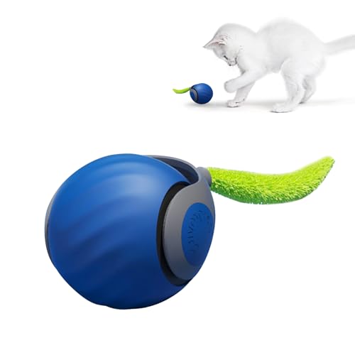IHONYI Neue Interaktives Katzenspielzeug Elektrisch, Verbesserter Katzen Ball Mit 90 Min Langer Batterielebensdaue, Katzekatzenspielzeug Selbstbeschäftigung Mit Zwei Geschwindigkeiten (blau, 1 pcs) von IHONYI