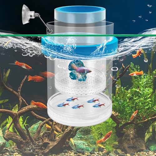 Aquarium Breeder Box Fish Tank Breeding Chamber Floating Mesh Isolation Hatchery Medium Blue von IIDEA