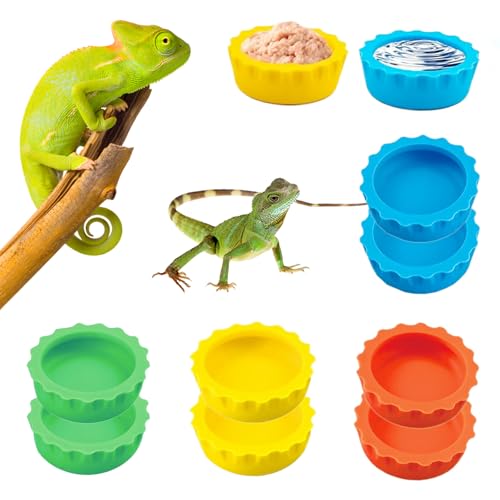 Futter- und Wassernäpfe für Reptilien, 8-teiliges Set, Terrarienzubehör für Haubengecko, Bartagame, Schildkröte Futter- und Wassernäpfe für Reptilien, 8-teiliges Set, Terrarienzubehör für Haubengecko, Bartagame, Schildkröte von IIDEA