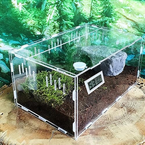 Reptilienzuchtbox Acryl Spinne Eidechse Skorpion Acryl Zusammengebaut Transparent for Insekten, Atmungsaktiv, Terrarium von IINCOOY