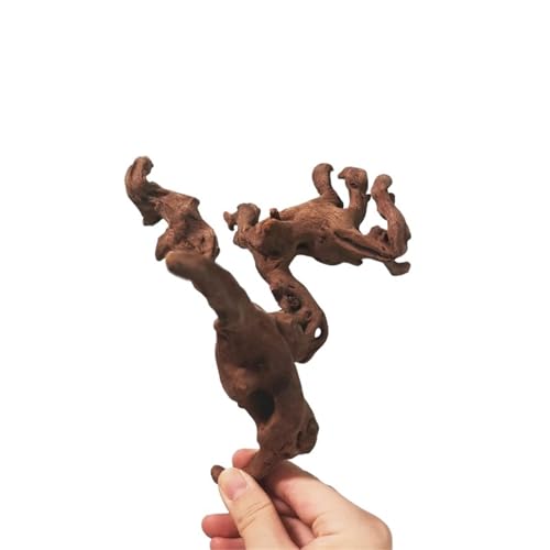 IKFGTJRE Aquarium-Treibholz, groß, Treibholz, Koralle, Treibholz, Aquarium, Holz, 10–15 cm, 2 Stück von IKFGTJRE