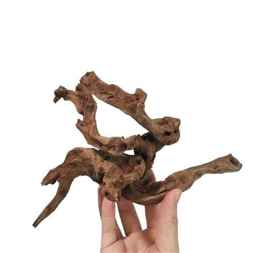 IKFGTJRE Aquarium-Treibholz, groß, Treibholz, Koralle, Treibholz, Aquarium, Holz, 10–15 cm, 5 Stück von IKFGTJRE