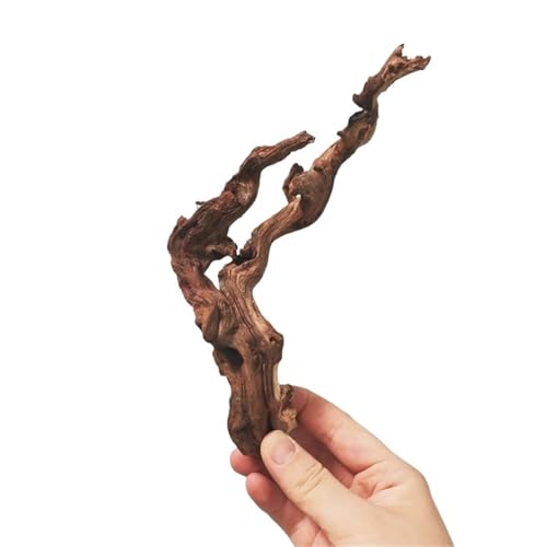 IKFGTJRE Aquarium-Treibholz, groß, Treibholz, Koralle, Treibholz, Aquarium, Holz, 15–20 cm, 2 Stück von IKFGTJRE
