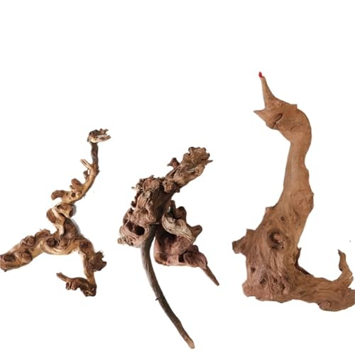 IKFGTJRE Aquarium-Treibholz, groß, Treibholz, Koralle, Treibholz, Aquarium, Holz, großes Aquarium, Holz, 20–30 cm, 3 Stück von IKFGTJRE