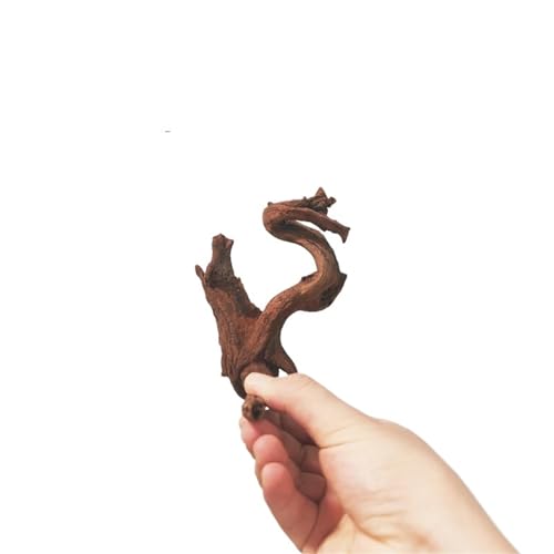 IKFGTJRE Aquarium-Treibholz, groß, Treibholz, Koralle, Treibholz, Aquarium, Holz, großes Aquarium, Holz (5–10 cm, 20 Stück) von IKFGTJRE