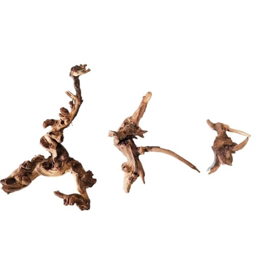 IKFGTJRE Aquarium-Treibholz, groß, Treibholz, Koralle, Treibholz, Aquarium, Holz, großes Aquarium, Holz (5–20 cm, 3 Stück gemischt) von IKFGTJRE