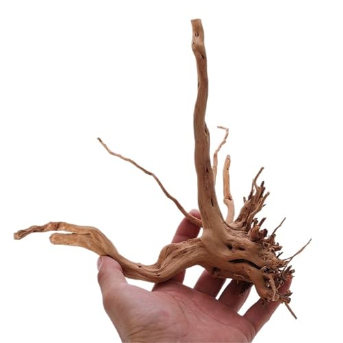 IKFGTJRE Aquarium Treibholz Aquarium Dekoration Holz Kleine Lebensraum Wurzeln Treibholz Landschaft Dekorative Ornamente Aquarium Landschaft Baum Wurzeln(20-25cm) von IKFGTJRE