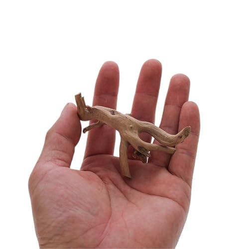 IKFGTJRE Aquarium Treibholz Aquarium Dekoration Holz Kleine Lebensraum Wurzeln Treibholz Landschaft Dekorative Ornamente Aquarium Landschaft Baum Wurzeln(8-10cm) von IKFGTJRE