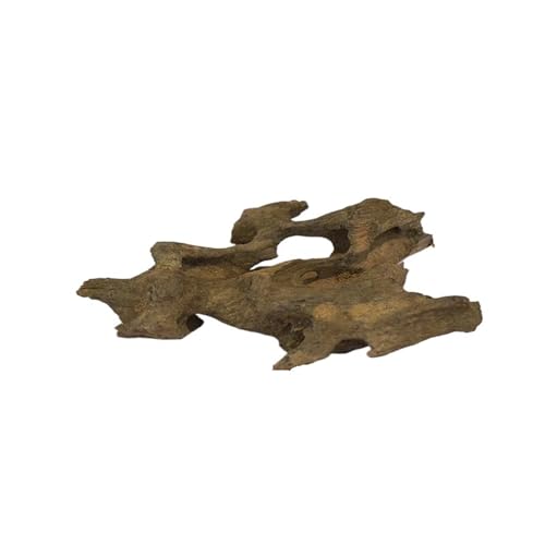 IKFGTJRE Aquarium Treibholz Aquarium-Dekorationen, poröses Treibholz-Ornament aus Holz for Aquarium-Dekor, Einsiedlerkrebse, Garnelen, Fische, Aquarium-Zubehör(10-15CM 150g) von IKFGTJRE