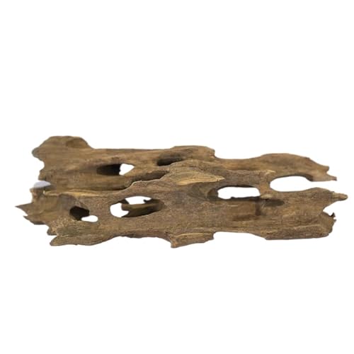 IKFGTJRE Aquarium Treibholz Aquarium-Dekorationen, poröses Treibholz-Ornament aus Holz for Aquarium-Dekor, Einsiedlerkrebse, Garnelen, Fische, Aquarium-Zubehör(15-20CM 283g) von IKFGTJRE