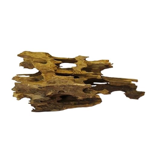 IKFGTJRE Aquarium Treibholz Aquarium-Dekorationen, poröses Treibholz-Ornament aus Holz for Aquarium-Dekor, Einsiedlerkrebse, Garnelen, Fische, Aquarium-Zubehör(20-30CM 300g) von IKFGTJRE
