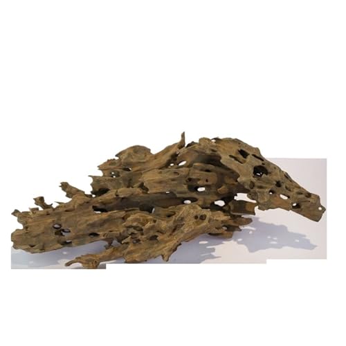 IKFGTJRE Aquarium Treibholz Aquarium-Dekorationen, poröses Treibholz-Ornament aus Holz for Aquarium-Dekor, Einsiedlerkrebse, Garnelen, Fische, Aquarium-Zubehör(30-40CM 600-800g) von IKFGTJRE