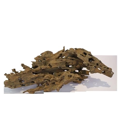 IKFGTJRE Aquarium Treibholz Aquarium-Dekorationen, poröses Treibholz-Ornament aus Holz for Aquarium-Dekor, Einsiedlerkrebse, Garnelen, Fische, Aquarium-Zubehör(30-40CM 800g-1100g) von IKFGTJRE