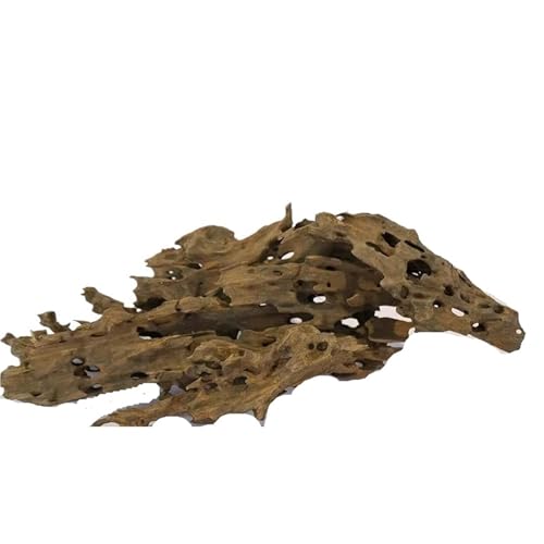IKFGTJRE Aquarium Treibholz Aquarium-Dekorationen Poröses Holz-Treibholz Aquarium-Dekorationen Krabben Garnelen Fisch Aquarium Zubehör Holzprodukt(30-40cm) von IKFGTJRE
