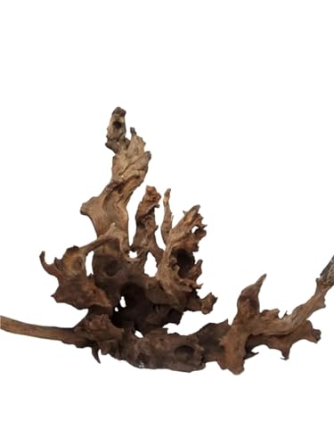 IKFGTJRE Aquarium Treibholz Aquarium Schildkröte Sonneninsel Holz Zweige Plattform Dekorative Wasserpflanze Stehen(1.0kg (31-45cm)) von IKFGTJRE