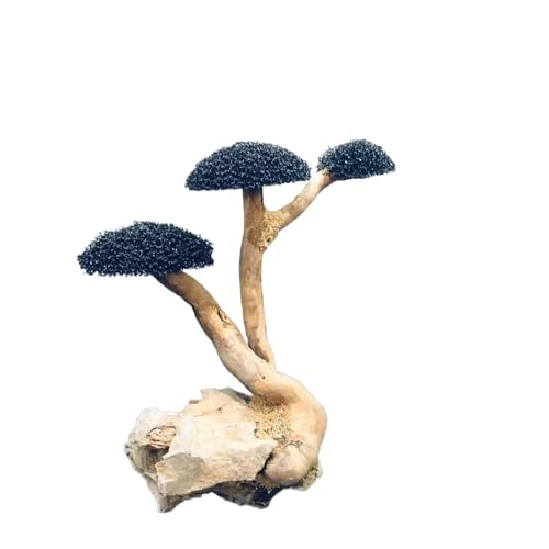 IKFGTJRE Aquarium Treibholz Aquarium Treibholz Landschaftsbau Dekoration Fisch Tank Holz DIY Ornament DIY Fisch Tank Handwerk Dekor(H10-15cm 3 Heads) von IKFGTJRE