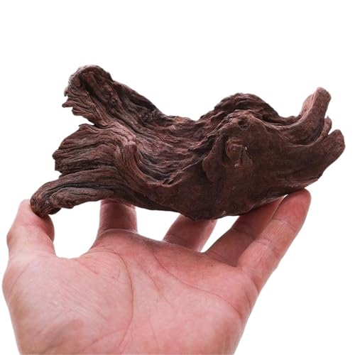 IKFGTJRE Aquarium Treibholz Aquarium Treibholz Unterwasser Holz Rhododendron Wurzel Aquarium Landschaft Dekoration Holz(15-20cm/piece) von IKFGTJRE