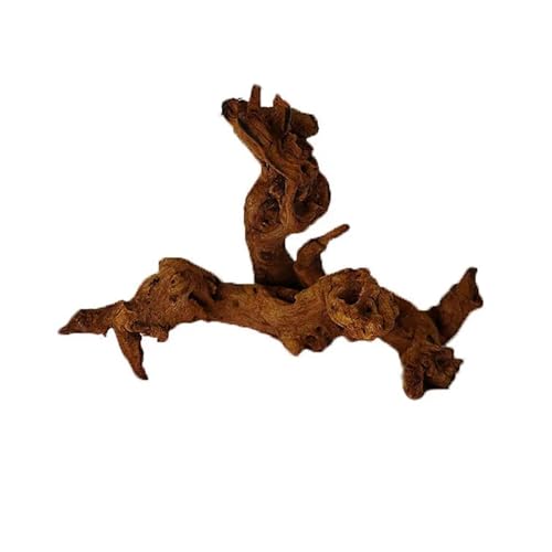 IKFGTJRE Aquarium Treibholz Baumstamm Aquarium Dekoration 1Pcs Holz Kunstwerk Dekor Landschaftsbau Ornamente Dekor Fisch Tank Hintergrund Moos Dekor(15-20cm) von IKFGTJRE