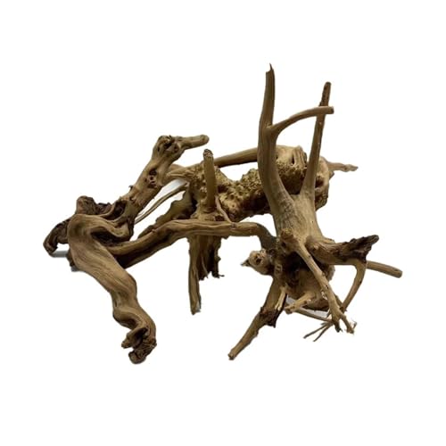 IKFGTJRE Aquarium Treibholz Baumstamm Treibholz Aquarium Pflanze Holz Dekoration Ornament Aquarium Dekoration Aquarium Zubehör(10-15cm) von IKFGTJRE