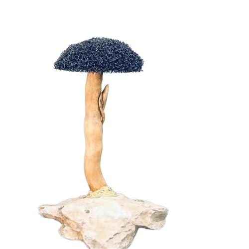 IKFGTJRE Aquarium Treibholz Fisch Tank Holz DIY Ornament DIY Fisch Tank Handwerk Dekor Aquarium Treibholz Landschaftsbau Dekoration(H10-15cm 1 Head) von IKFGTJRE