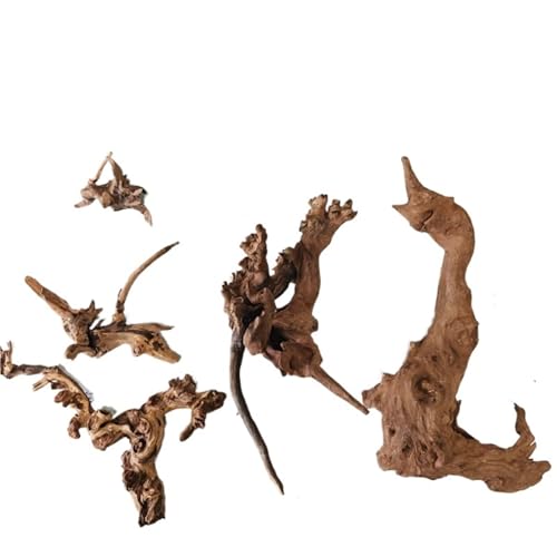 IKFGTJRE Aquarium Treibholz Großes Treibholz, Korallen, Treibholz, Aquarium-Ornamente, Aquarium-Holz, großes Aquarium-Holz(5-30cm-5pcs Mix) von IKFGTJRE