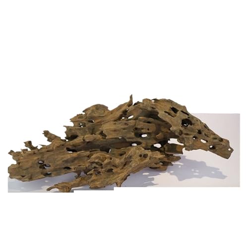 IKFGTJRE Aquarium Treibholz Holz Treibholz Poröse Aquarium Ornament for Aquarium Krabben Garnelen Fische Aquarium Dekoration Zubehör Woods Decor(30-40CM 1100g-1500g) von IKFGTJRE
