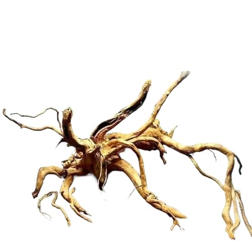 IKFGTJRE Aquarium Treibholz Holzbaum, Treibholzzweige, Form zufällige Reptilienholzzweige, DIY, große Größe, unregelmäßige Baumwurzel for Schildkrötentanks(10-15CM) von IKFGTJRE