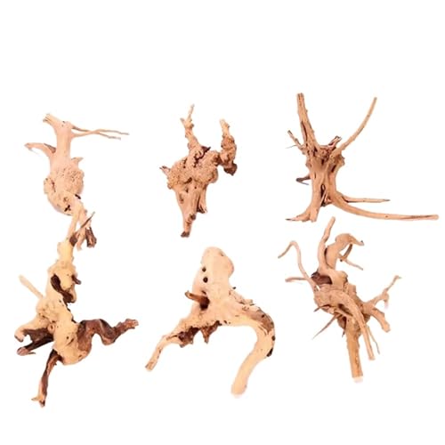 IKFGTJRE Aquarium Treibholz Holzstamm Treibholz Baum 1 Pcs Aquarium Aquarium Pflanzenstumpf Aquarium Aquarium Ornament Landschaftsbau Dekoration(10-15cm) von IKFGTJRE