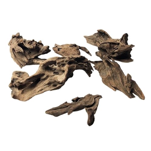 IKFGTJRE Aquarium Treibholz Kleines ausgewähltes Treibholz – Aquascaping, Paludarium, Aquarium-Dekor, Verschiedene Größen(10-15cm) von IKFGTJRE