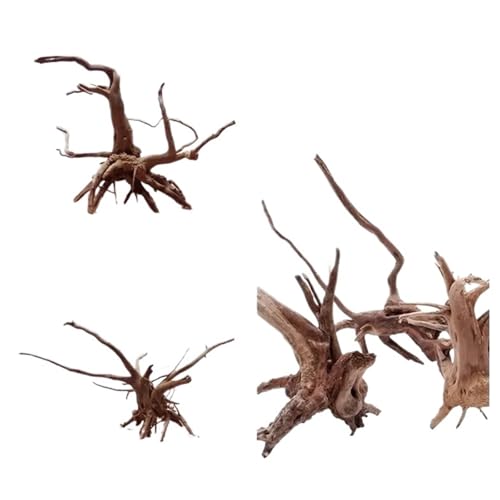 IKFGTJRE Aquarium Treibholz Natürlicher Baumstamm, Treibholz, for Aquarien, Reptilien, Zylinder, Wurzeln, Pflanzenholz, Dekoration, Ornament, Zubehör, Aquarienpflanzen(15-20CM) von IKFGTJRE