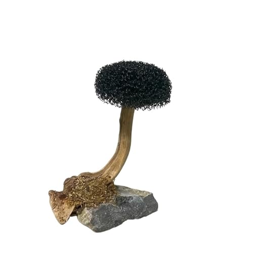 IKFGTJRE Aquarium Treibholz Treibholz-Aquarienpflanzen, Gras, Aquariumpflanze, Moos, Baum, Landschaftsdekoration, Holzpflanzenwurzel, Aquariumzubehör (kein Moos)(Color-01-1 Head,Height 10-15cm) von IKFGTJRE