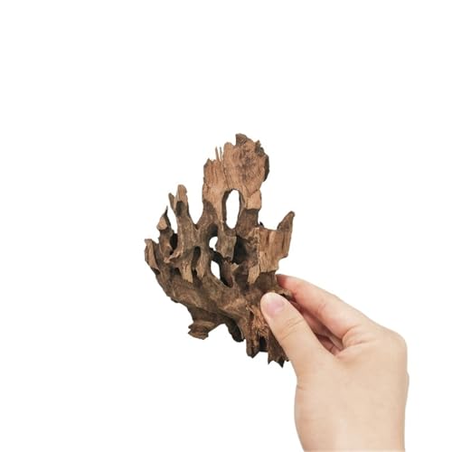 IKFGTJRE Aquarium Treibholz Treibholz Aquarium Fisch Ruheloch Holz Extra Großes Holz Aquarium Garnelen Holz F Treibholz Baumstamm(10-15cm 5pcs) von IKFGTJRE