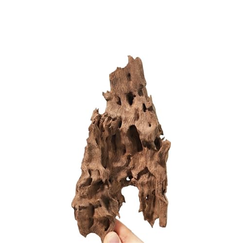 IKFGTJRE Aquarium Treibholz Treibholz Aquarium Fisch Ruheloch Holz Extra Großes Holz Aquarium Garnelen Holz F Treibholz Baumstamm(15-20cm 2pcs) von IKFGTJRE