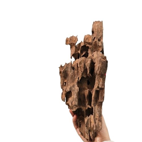 IKFGTJRE Aquarium Treibholz Treibholz Aquarium Fisch Ruheloch Holz Extra Großes Holz Aquarium Garnelen Holz F Treibholz Baumstamm(20-30cm 1pcs) von IKFGTJRE